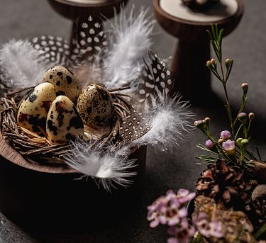 2026-02-12-essenz-petit-four-07-4