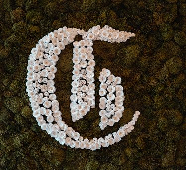 28-22-05-2025-chiemgauhof-opening-028-19