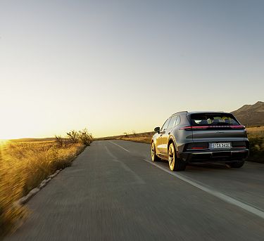 cayenne-electric-bild-2-low-4