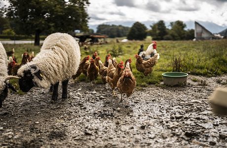 10_08_23_Achental_Shoot_337